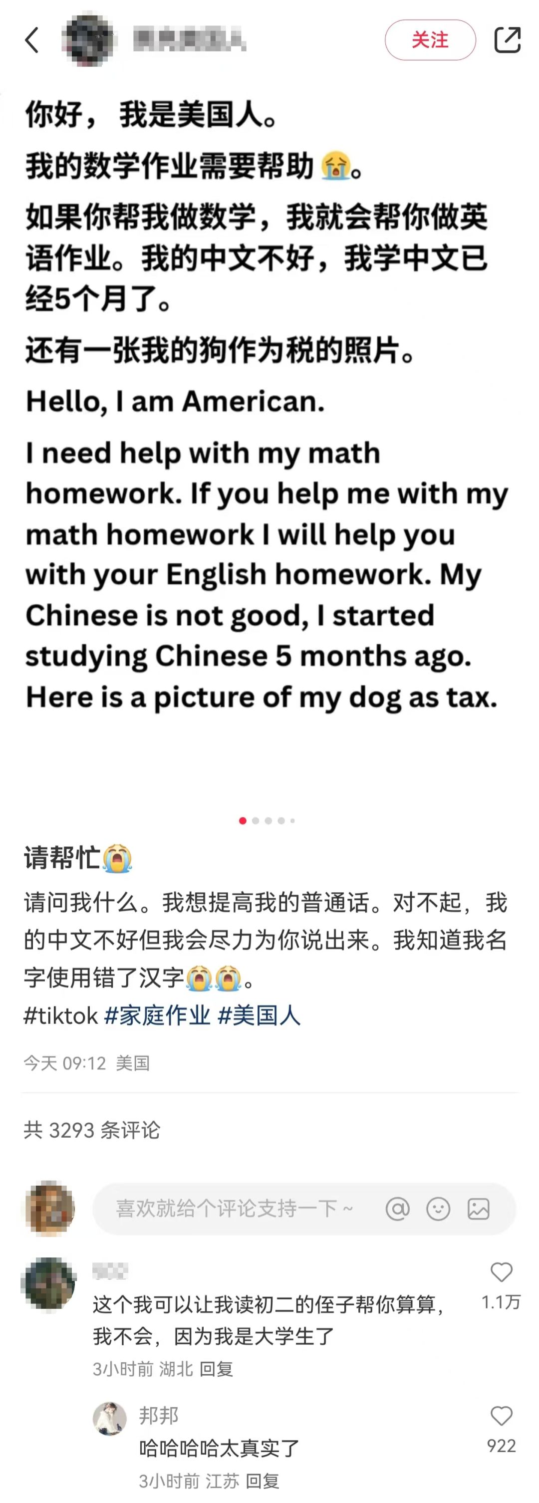 小红书的外国网友，掀起“自学潮”！