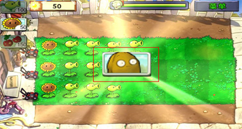 临沧成都app开发公司pvz国际版