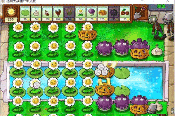 临沧成都app开发公司pvz国际版