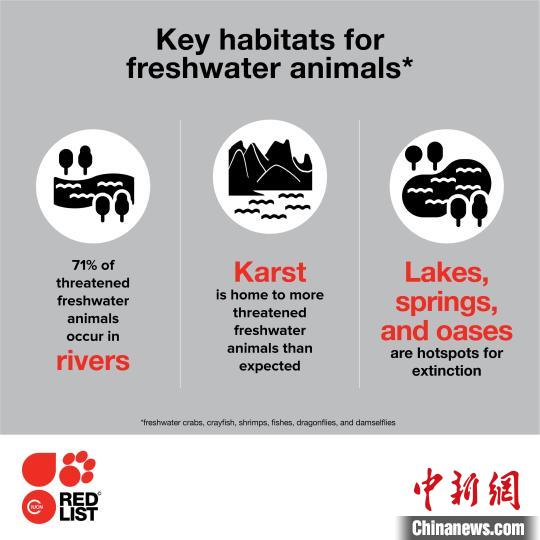 超过2.3万个物种研究评估：全球约1/4淡水动物面临灭绝风险
