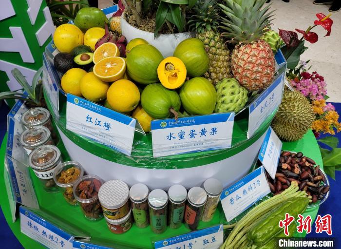 海南大力发展榴莲等热带优稀水果产业