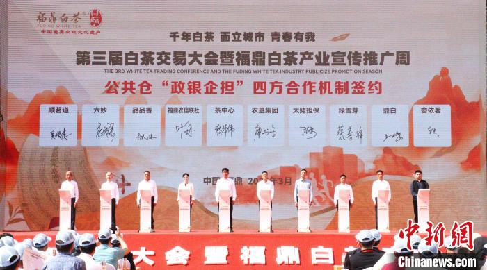 “中国白茶之乡”福建福鼎举办开茶节：品白茶、赏民俗、吃美食