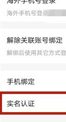 广州股票app开发yy语音