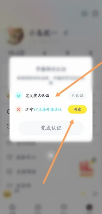 广州股票app开发yy语音