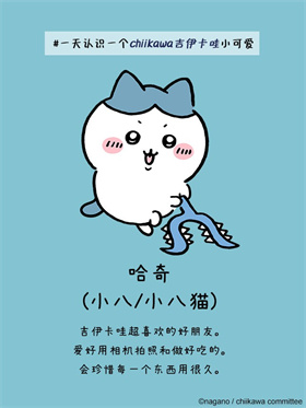 口袋吉伊卡哇安卓版北京开发一个app多少