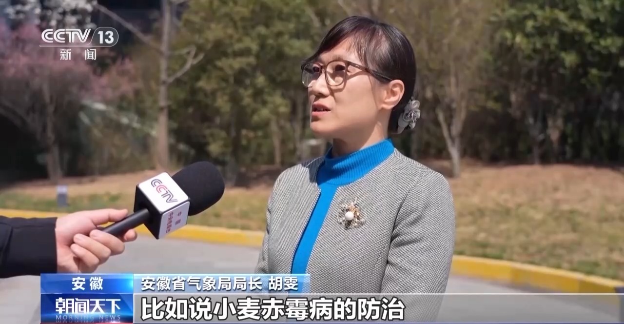 水肥“精准投喂” 全国各地用科技浇出冬小麦好苗情