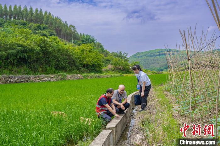 广西柳州紧盯村级“小微工程” 做实民生“大文章”