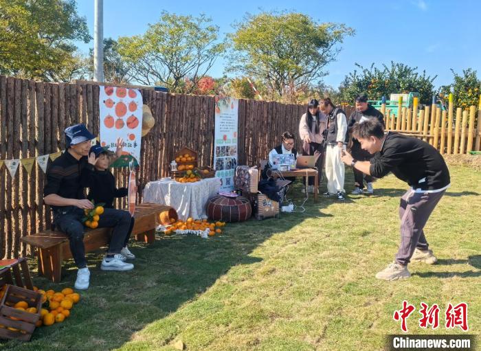 （乡村行·看振兴）统战成员助力浙江宁海小青村柑橘产业“一条龙”增收