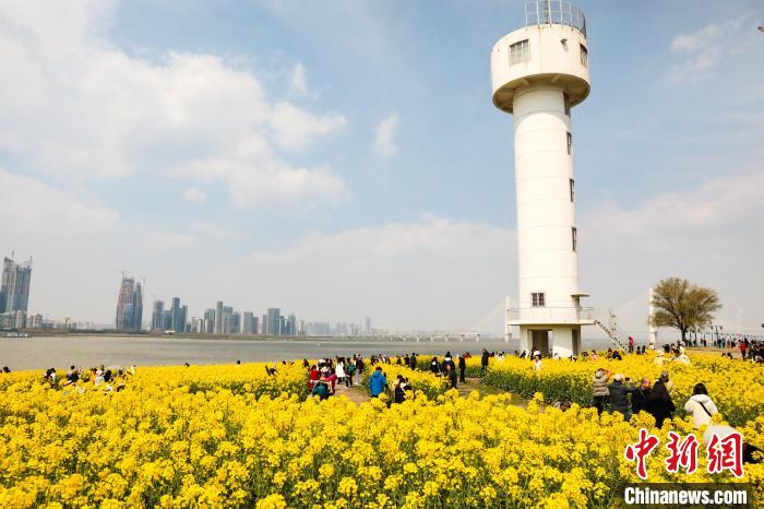 湖北武汉：春和景明 油菜花开醉游人