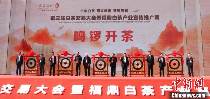 “中国白茶之乡”福建福鼎举办开茶节：品白茶、赏民俗、吃美食