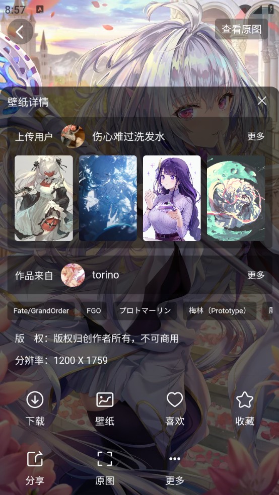 花火壁纸福建app开发排名公司