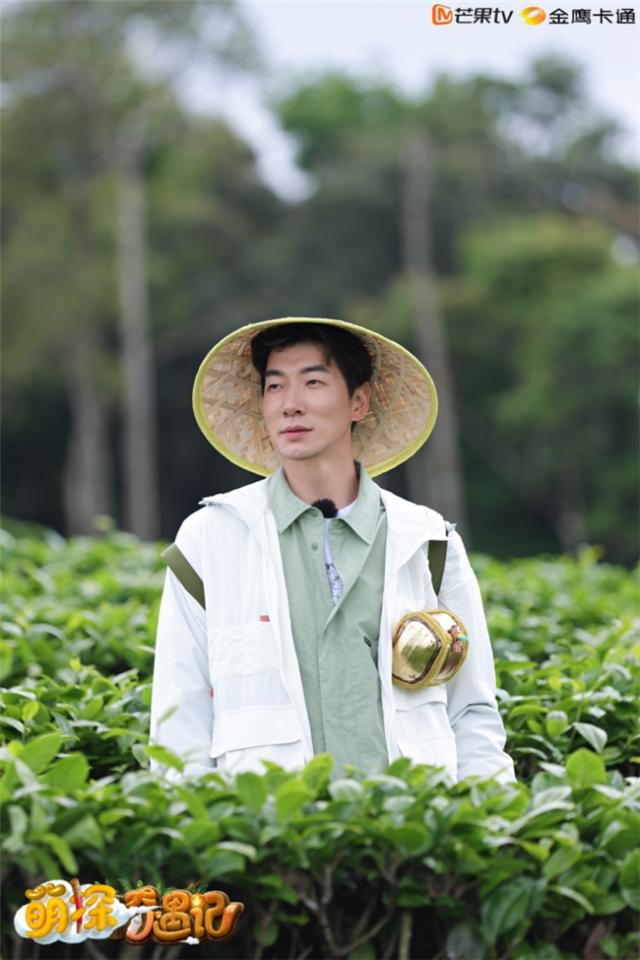 《萌探奇遇记》首播收视蝉联第一！多维数据领跑同类综艺！第二期精彩继续！