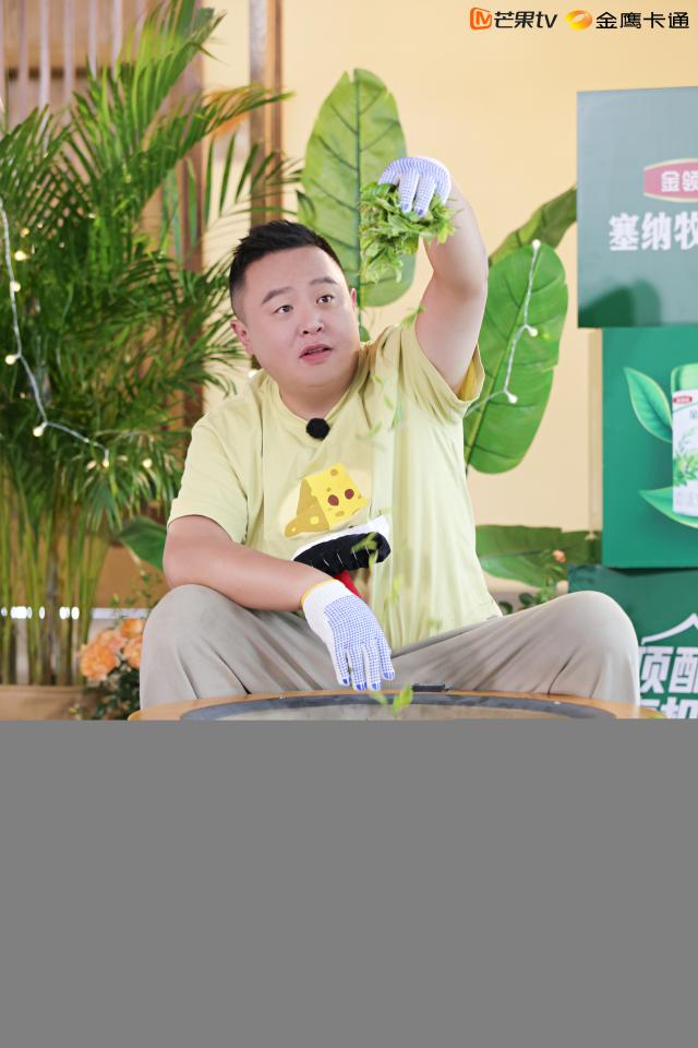 收视第一！《萌探奇遇记》用＂选择＂解锁成长必修课，开启国漫2.0版本