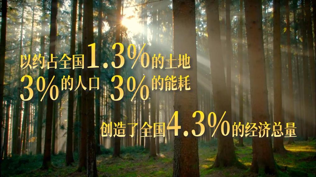 经济大省挑大梁丨奋勇争先，再上台阶——福建爱拼敢赢展现经济韧劲
