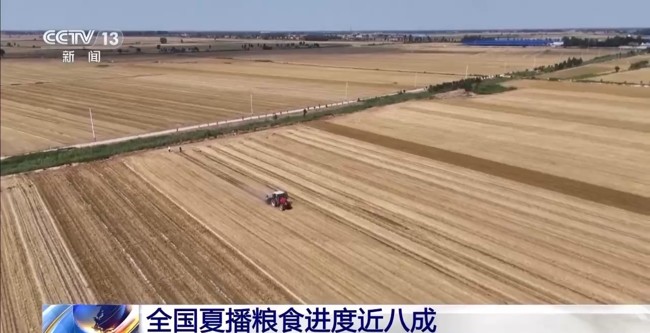 全国夏粮收获过九成 夏播粮食进度近八成