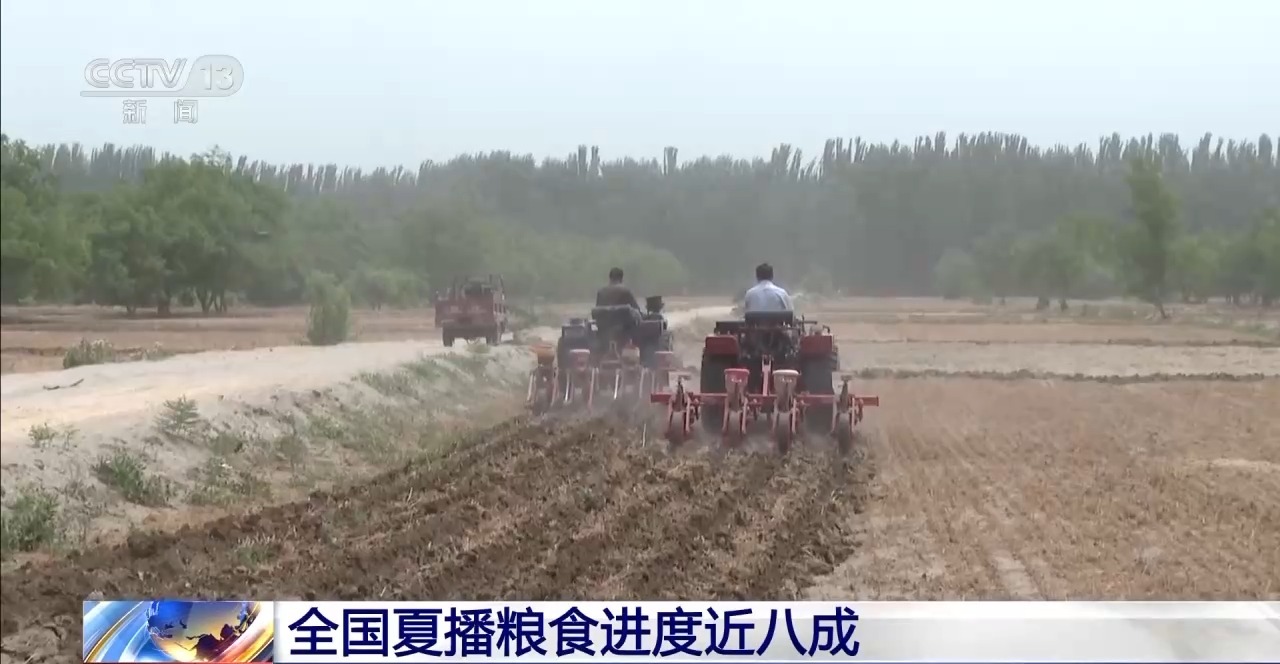全国夏粮收获过九成 夏播粮食进度近八成