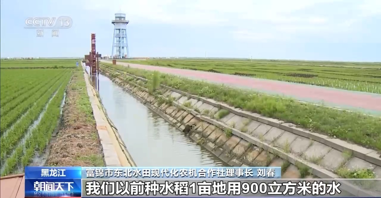 全国夏粮收获过九成 夏播粮食进度近八成