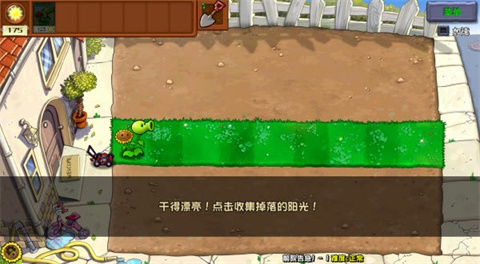 植物大战僵尸杂交重置版上海生活类app开发