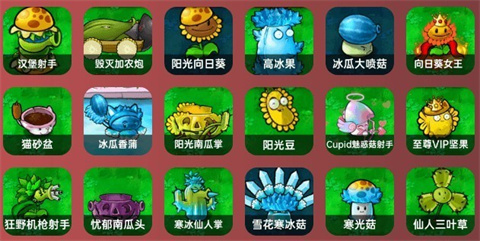 植物大战僵尸杂交重置版上海生活类app开发