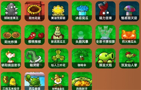 植物大战僵尸杂交重置版上海生活类app开发