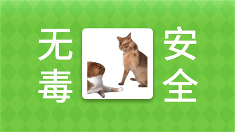 南昌开发一个app大概需要多少钱女巫的毒药猫meme版手机版