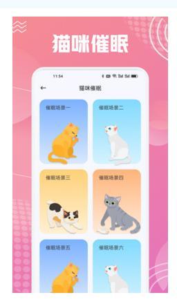 成都app的开发平台开心猫舍喵语
