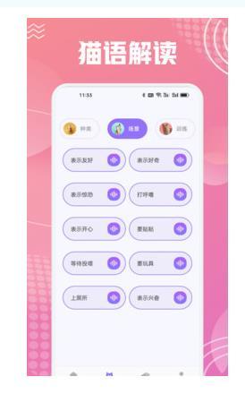 成都app的开发平台开心猫舍喵语