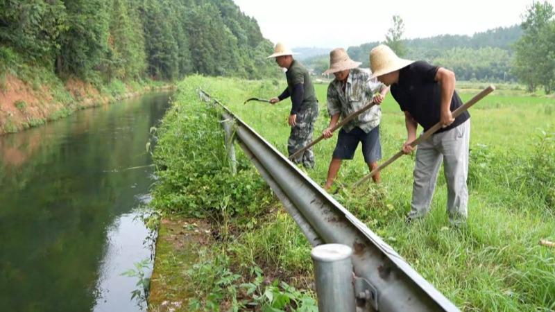 江西峡江：科技助力精准灌溉 保障二晚水稻移栽返青