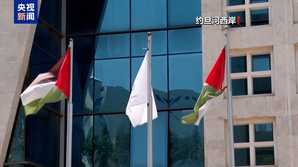 落实“两国方案”高级别国际会议举行 中方呼吁采取切实行动