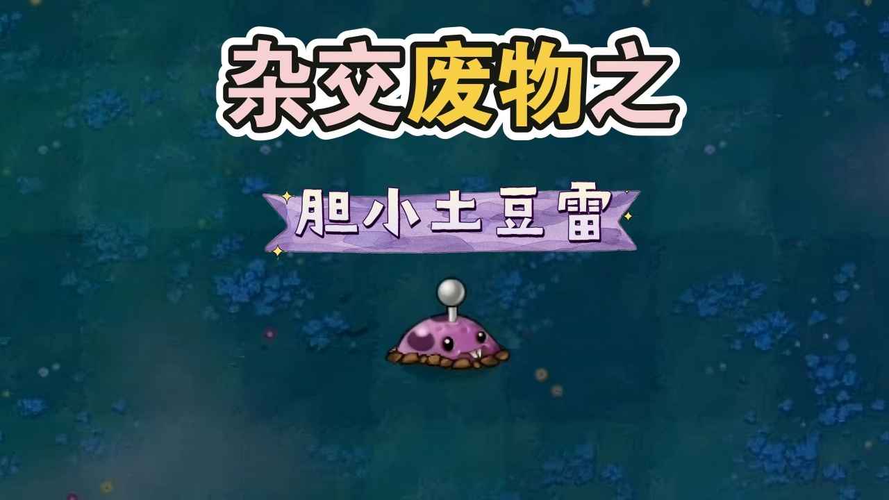 杭州什么是app开发废物大战僵尸