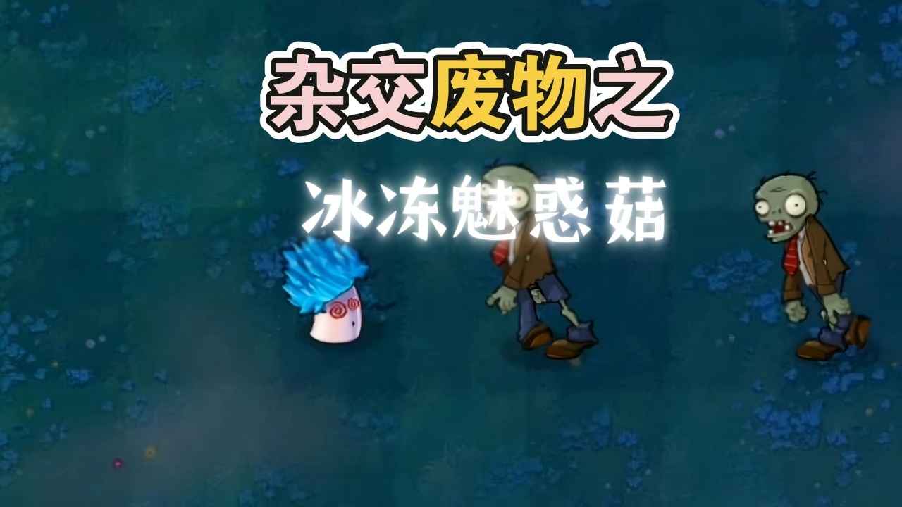 杭州什么是app开发废物大战僵尸