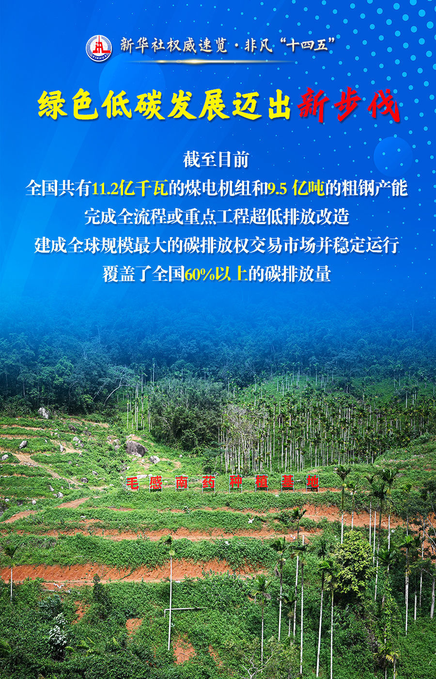 新华社权威速览·非凡“十四五”丨这五个“新”，读懂“美丽中国”建设新成就