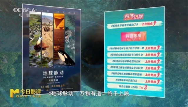 跟随《地球脉动：万物有道》解锁地球极致之美