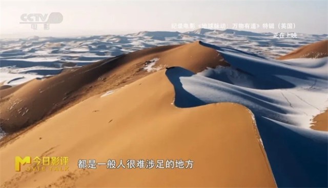 跟随《地球脉动：万物有道》解锁地球极致之美
