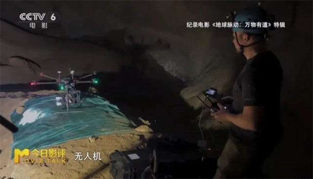 跟随《地球脉动：万物有道》解锁地球极致之美