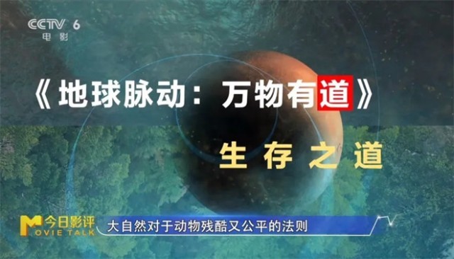 跟随《地球脉动：万物有道》解锁地球极致之美