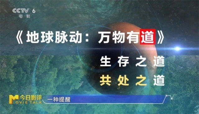 跟随《地球脉动：万物有道》解锁地球极致之美