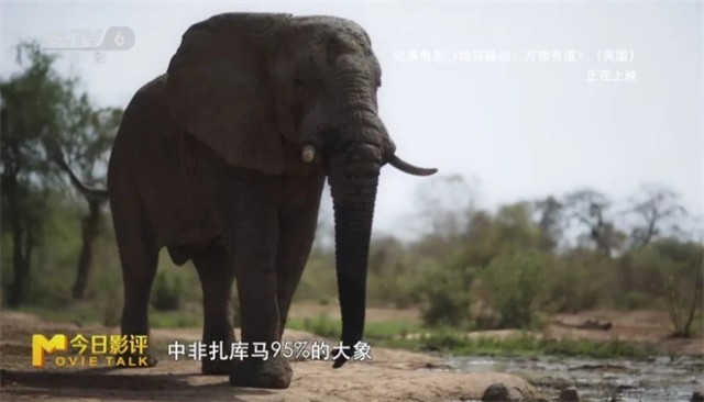 跟随《地球脉动：万物有道》解锁地球极致之美