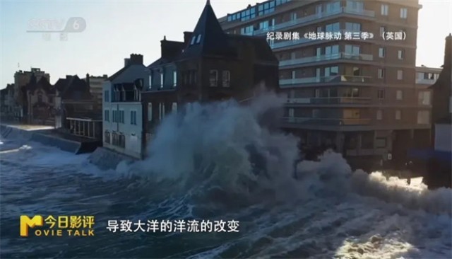 跟随《地球脉动：万物有道》解锁地球极致之美