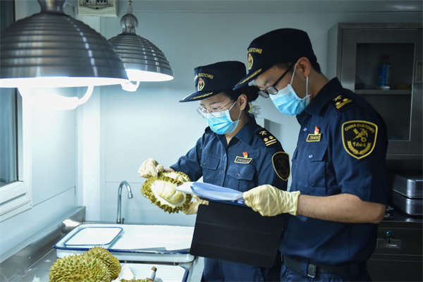 一颗榴莲的“奇妙之旅”