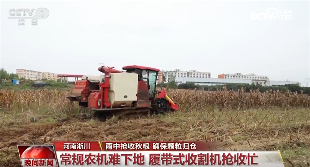 各地全力以赴做好抢收抢烘工作 确保秋粮应收尽收