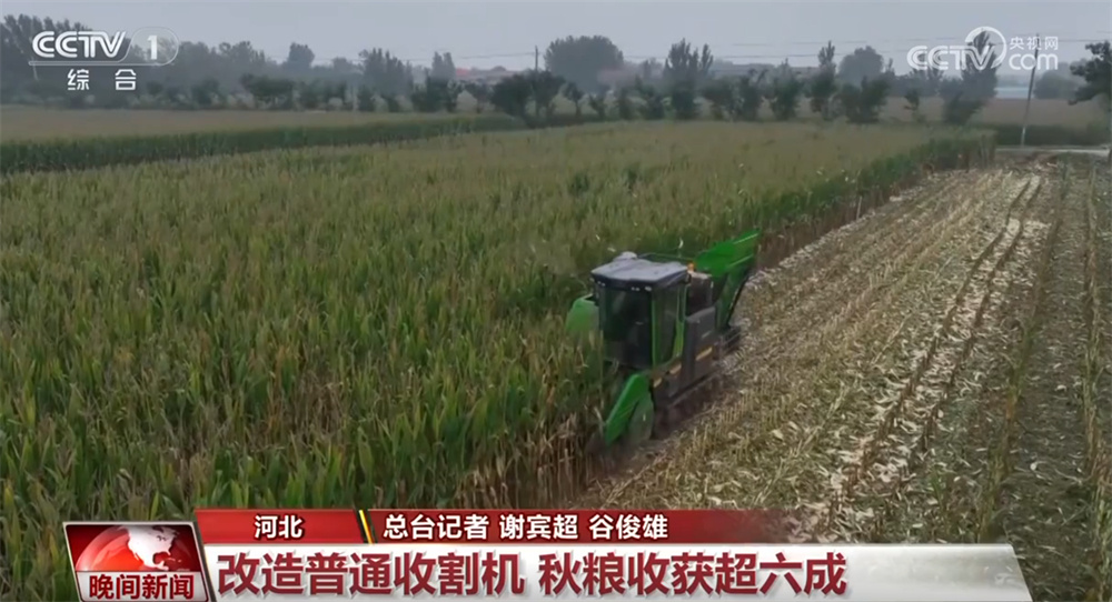 各地全力以赴做好抢收抢烘工作 确保秋粮应收尽收