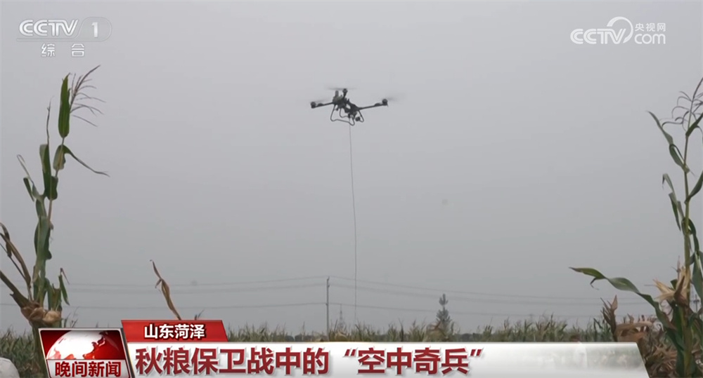 各地全力以赴做好抢收抢烘工作 确保秋粮应收尽收