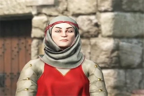 银川app原生开发骑马与砍杀战团