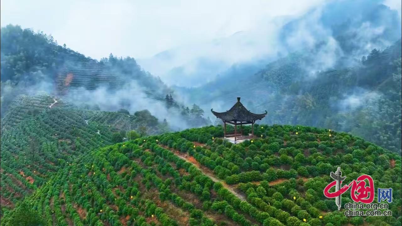 程俊韬：立足基层沃土 践行时代使命
