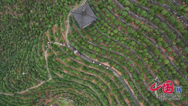 程俊韬：立足基层沃土 践行时代使命