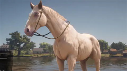 杭州手机app前端开发荒野大镖客救赎直装版