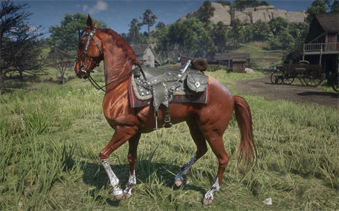 杭州手机app前端开发荒野大镖客救赎直装版