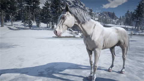 杭州手机app前端开发荒野大镖客救赎直装版