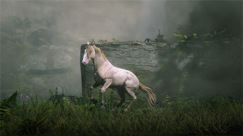 杭州手机app前端开发荒野大镖客救赎直装版